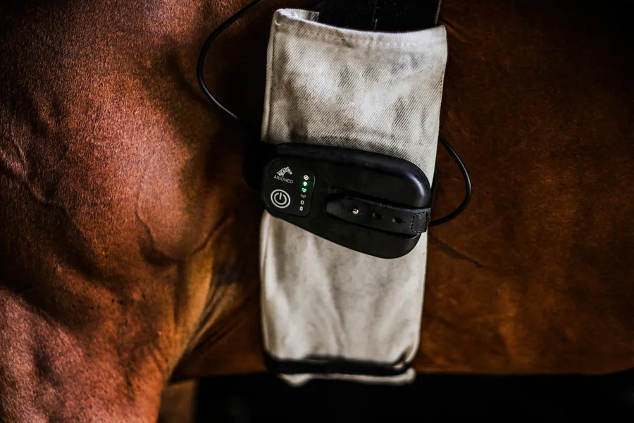 EQUIMETRE sensor fitted to a horse’s girth