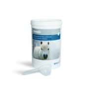 Laminitis in Horses 2 Nutritional support for EMS and Laminitic horses and ponies