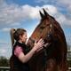 From Field to Fit - The 7 Point Checklist 4 Rebecca Flynn Equine Musculoskeletal Therapy + Rehab