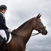 URT_low Equine Respiratory System Part 2