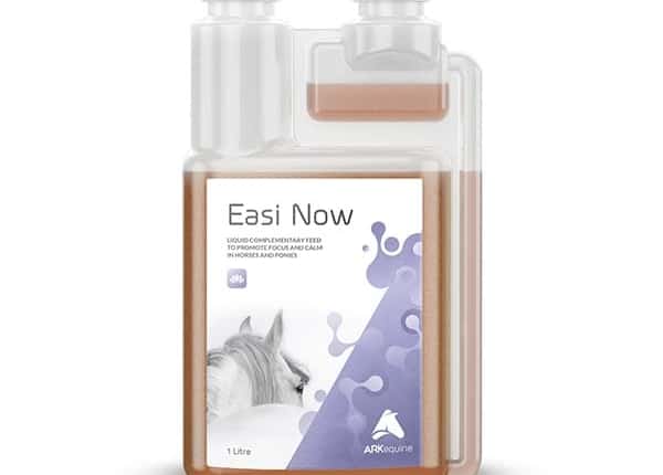 The Excitable and Nervous and Horse 2 Easi-NowFromARKequine