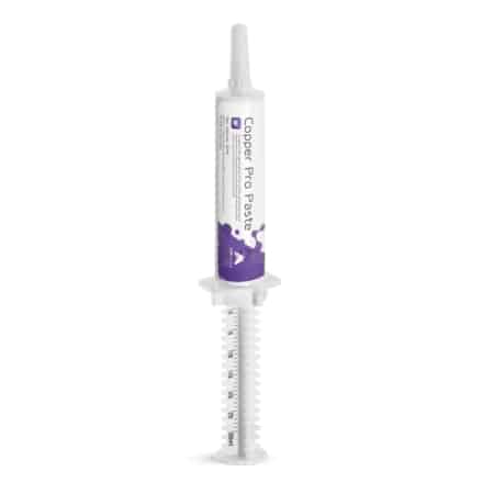 Copper Pro Paste 3 ArkEquine CopperPaste Syringe 30ml lowres