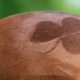 Copper Supplementation in the Horse 3 shamrock wide lowres