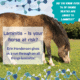 Laminitis in Horses: An Overview 1 Laminitis for horses - symptoms