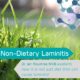 Recognising Non-Dietary Laminitis in Your Horse 1 non dietary laminitis in horses