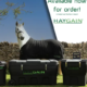 ARKequine appointed as Official Distributor for Haygain in Ireland and Northern Ireland 13 Haygain 425 x 500 px copy