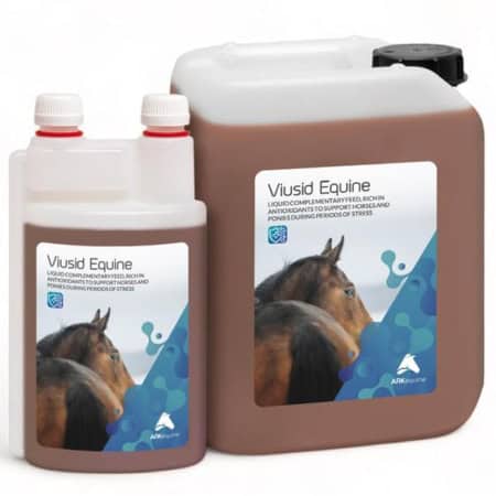 Viusid Equine 6 Packshot