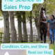 The Science of Sales Prep: Condition, Calm and Shine. 1 The Science of Sales prep