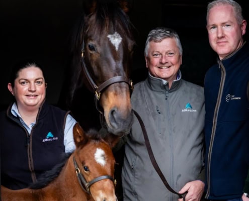 ARKequine Celebrates Partnership with Naas Racecourse 3 NAAS Racecourse Photo