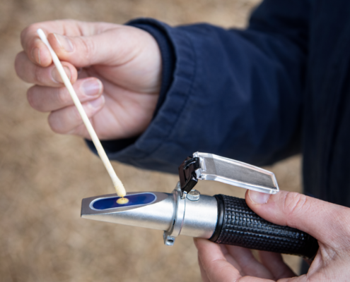 Why Every Stud Farm Needs a Brix Refractometer This Foaling Season 2 b436fa92 428b 4de5 ae6e c8ecb9e8557a